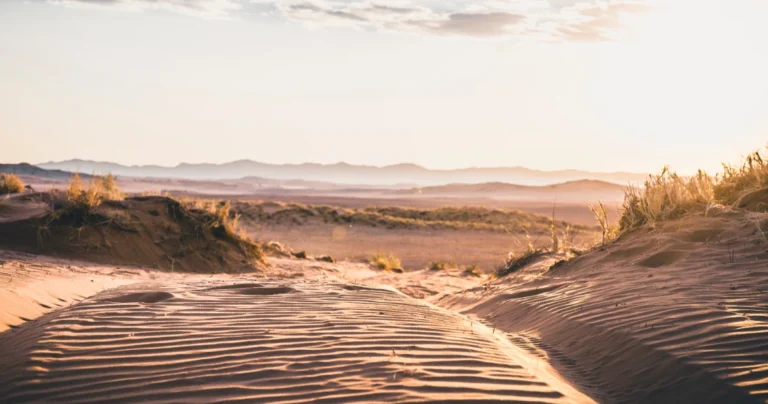 BAYA_local_knowledge