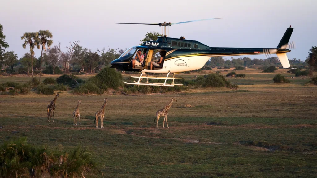 Scenic Heli Flight, Helicopter Horizons, Botswana