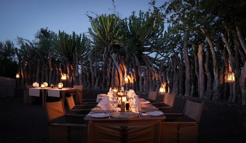 Mashatu Boma dinner