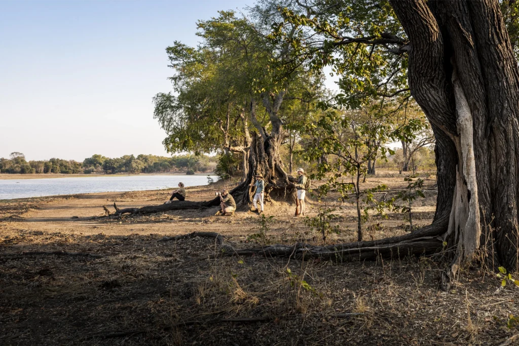 Sungani Walking Safari